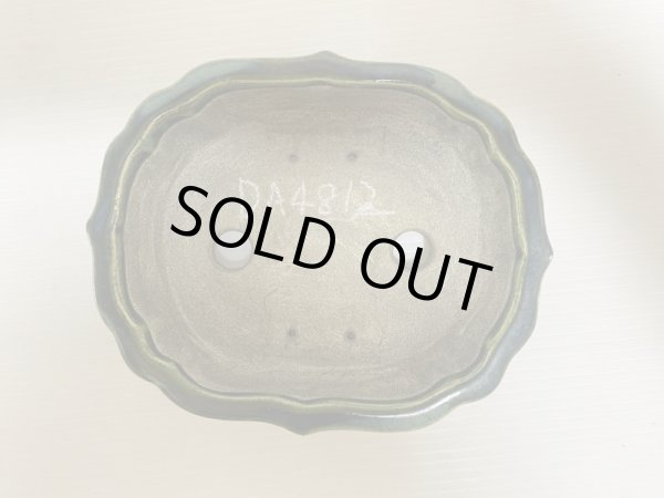 画像4: DA4812  里美 (4)