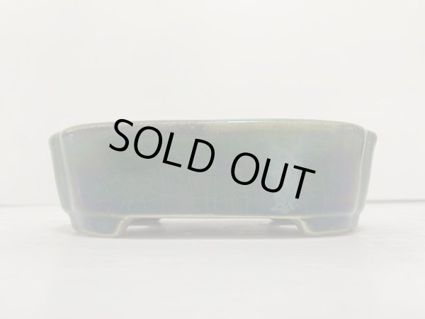 画像2: DA4813  里美 (2)