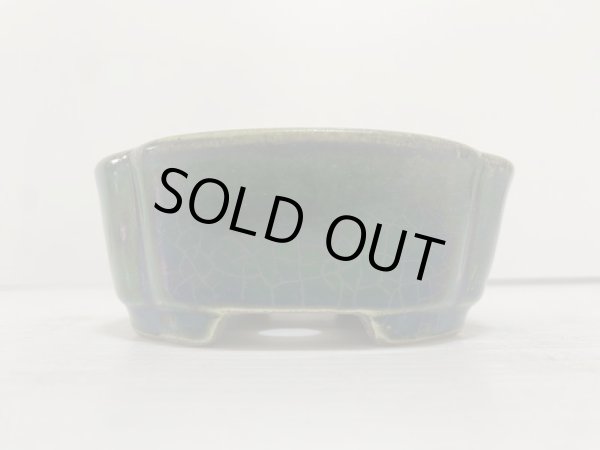 画像3: DA4813  里美 (3)