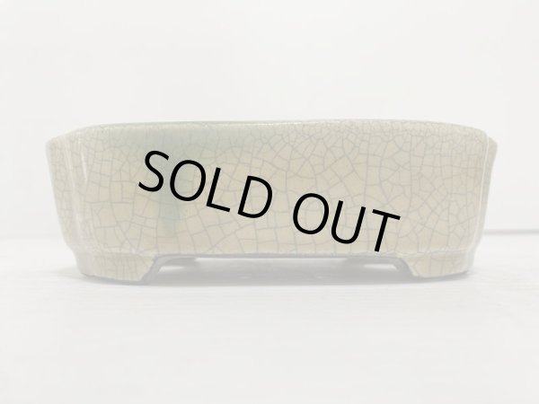 画像2: DA4814  里美 (2)