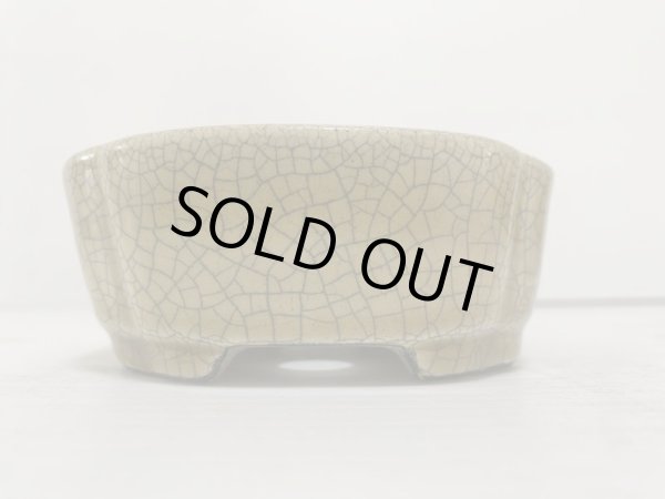 画像3: DA4814  里美 (3)