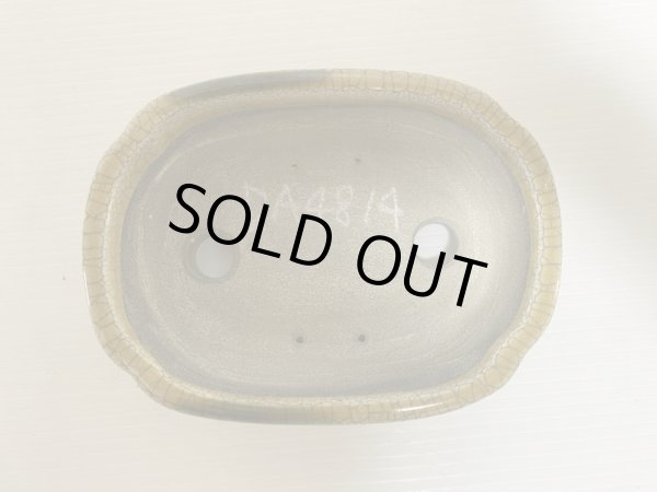 画像4: DA4814  里美 (4)