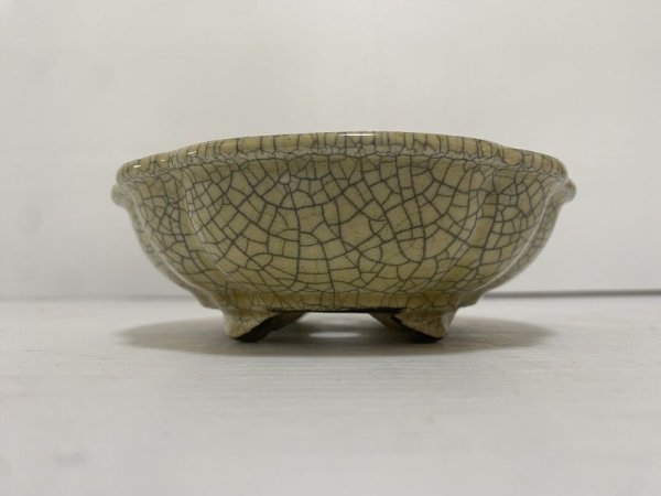 画像3: DA4819  里美 (3)