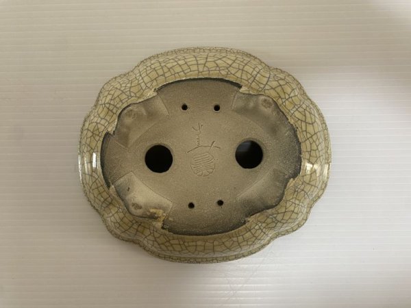 画像5: DA4819  里美 (5)