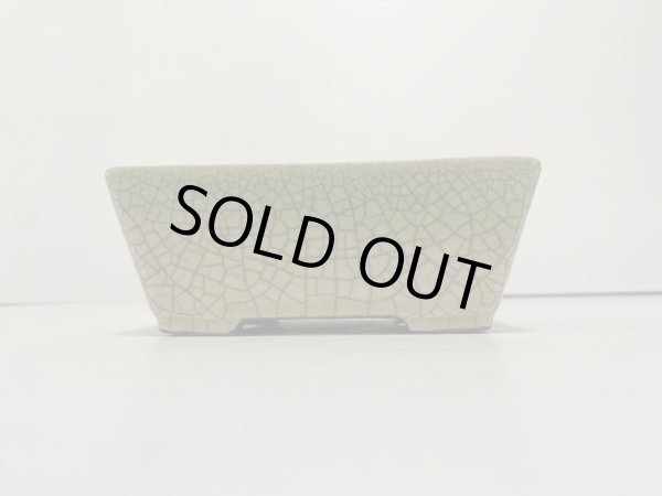 画像2: DA4820  里美 (2)