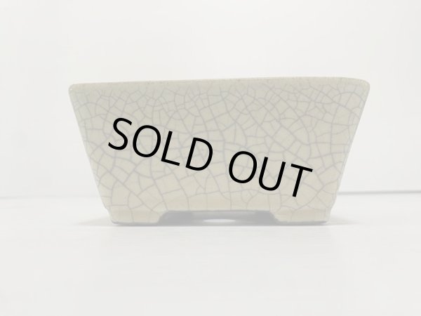 画像3: DA4820  里美 (3)