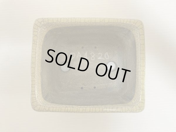 画像4: DA4820  里美 (4)