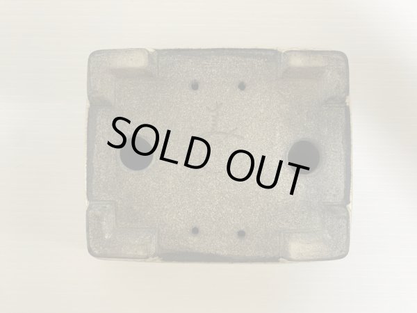 画像5: DA4820  里美 (5)