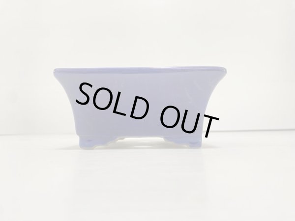 画像3: DA4821  里美 (3)