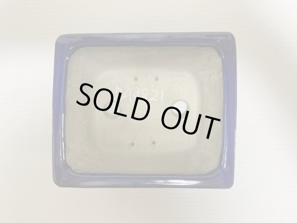 画像4: DA4821  里美 (4)