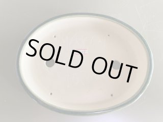 鴻陽 - Bonsai Network Japan