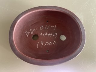 美芸 特選鉢 - Bonsai Network Japan 美芸 特選鉢 - Bonsai Network Japan