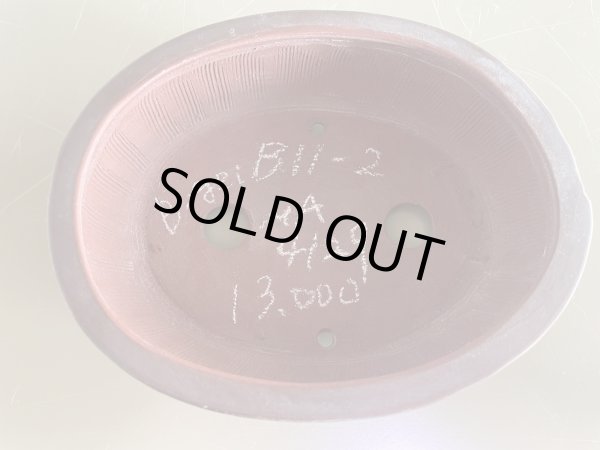 画像1: No.MA4129  美芸 5号小判木目 (1)