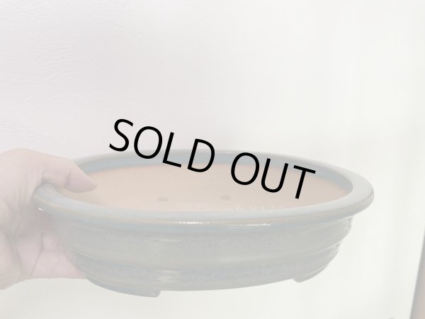 画像2: No.MA4137  黎峰 8号小判外縁付中帯 (2)