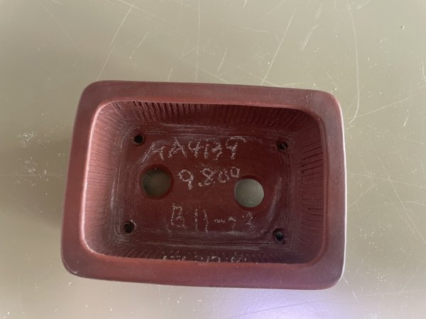 画像1: No.MA4133  美芸 3号長角ライオン面付 (1)