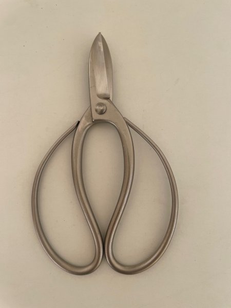 画像4: No.8501  白染め庭木手入れ用鋏 (4)