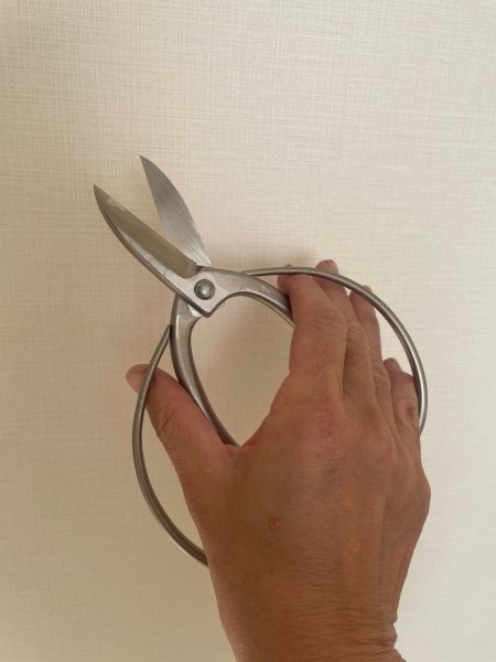 画像5: No.8501  白染め庭木手入れ用鋏 (5)