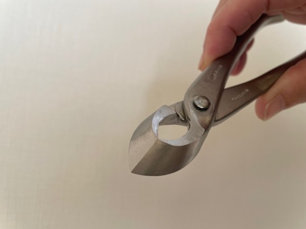 画像5: No.8116  白染め又枝切(小) (5)