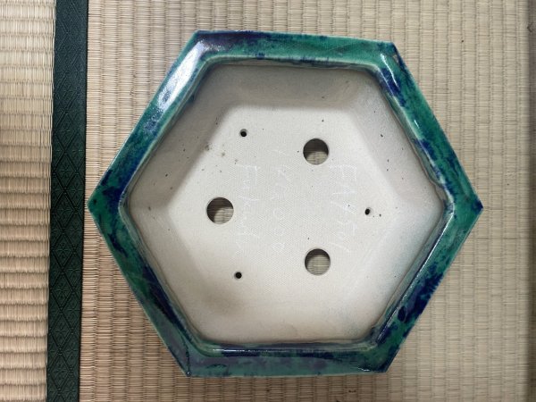 画像5: No.FA4501 福田　茂 (5)