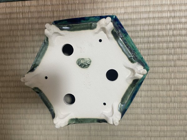 画像6: No.FA4501 福田　茂 (6)