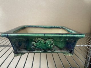 福田茂（武州庵福茂） ｜ 盆栽ネットワーク・ジャパン