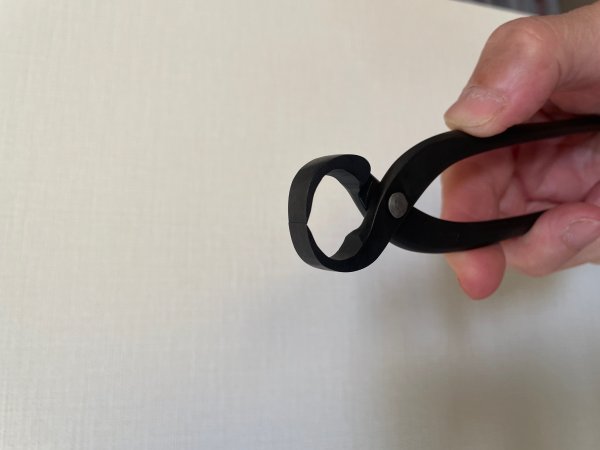 画像3: No.0036  コブ切（小） (3)