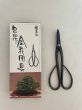 画像1: No.0302  別誂長柄剪定鋏(受注生産品)* (1)