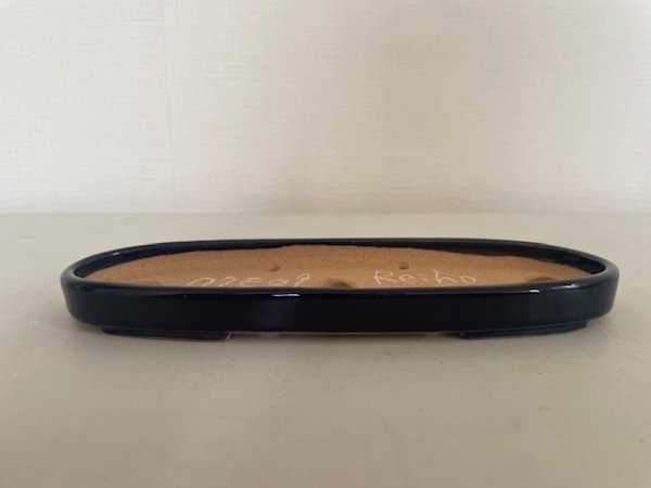 画像3: No.KA5605 黎鳳 (3)