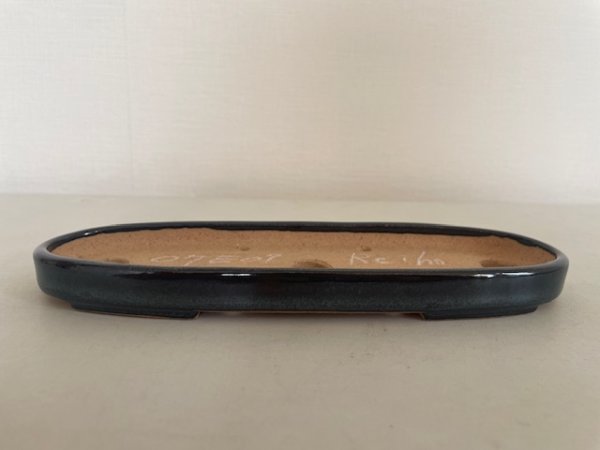 画像4: No.KA5603 黎鳳 (4)