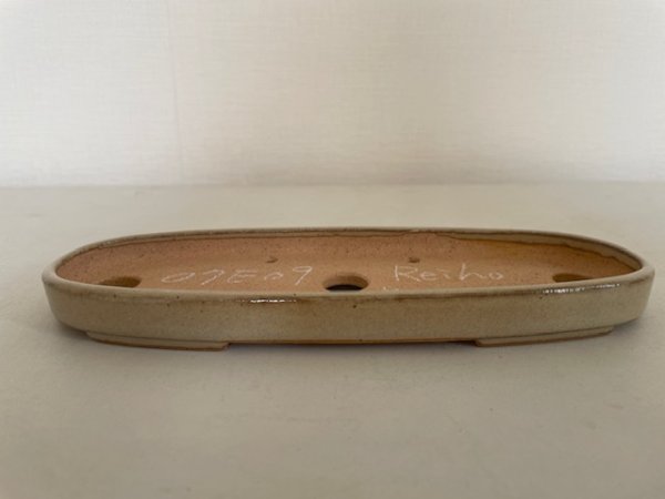 画像4: No.KA5602 黎鳳 (4)