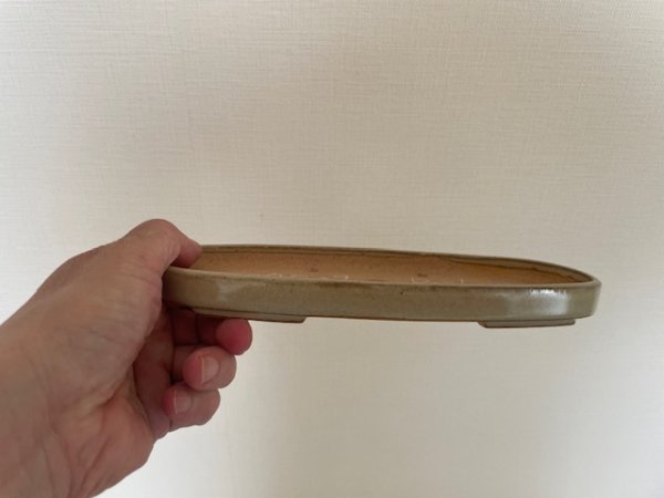 画像1: No.KA5602 黎鳳 (1)