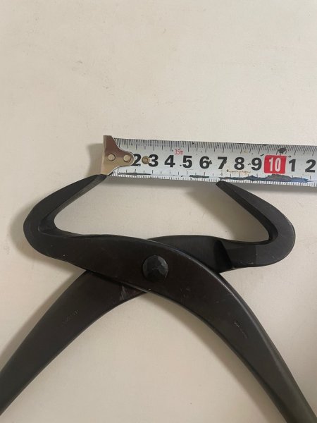 画像2: No.0113  幹割(大) (2)