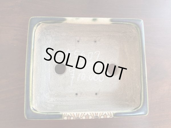 画像2: SA5607  里美 (2)