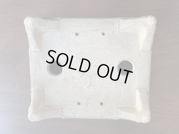 画像3: SA5607  里美 (3)