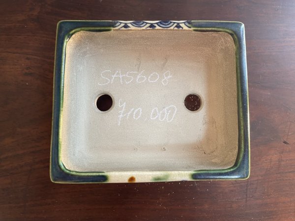 画像2: SA5608  里美 (2)