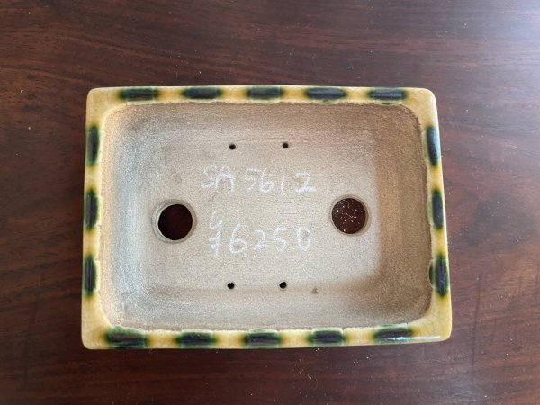 画像2: SA5612  里美 (2)