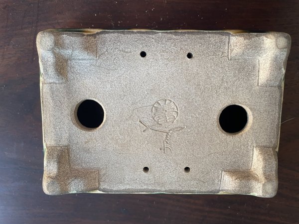 画像3: SA5612  里美 (3)