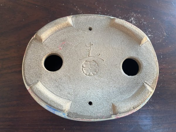 画像3: SA5615  里美 (3)