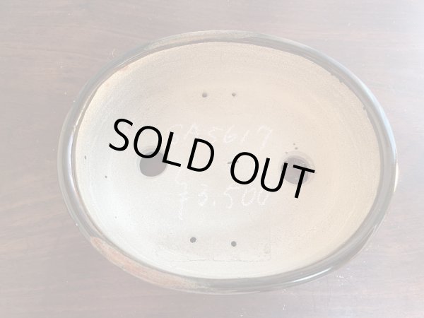 画像1: SA5617  里美 (1)