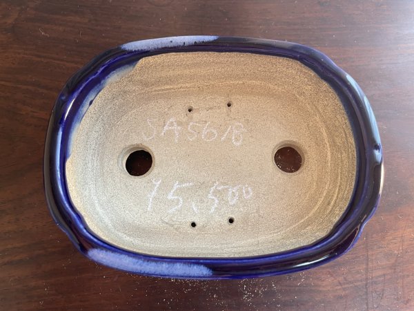 画像2: SA5618  里美 (2)