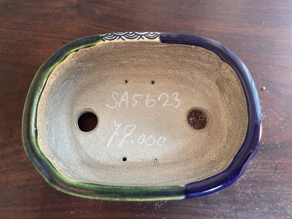 画像2: SA5623  里美 (2)