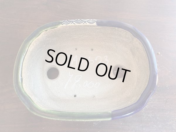 画像2: SA5623  里美 (2)