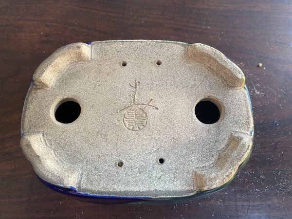 画像3: SA5623  里美 (3)