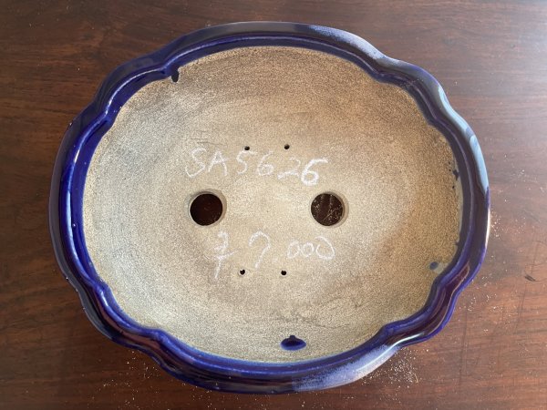 画像2: SA5626  里美 (2)