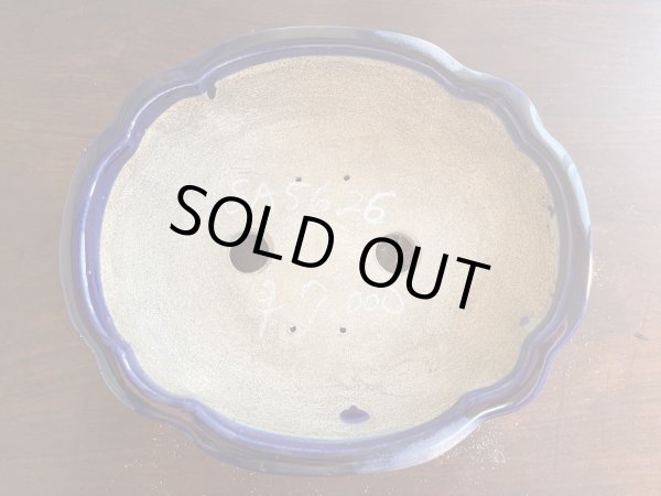 画像2: SA5626  里美 (2)