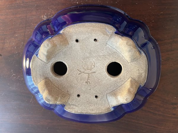 画像3: SA5626  里美 (3)