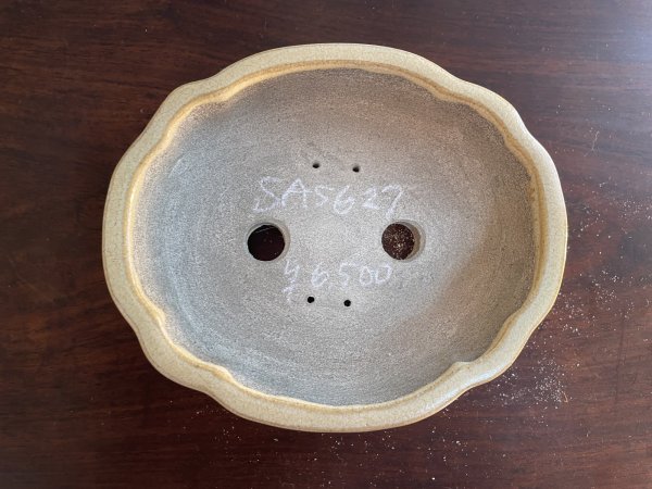 画像2: SA5627  里美 (2)