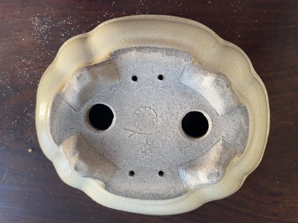 画像3: SA5627  里美 (3)