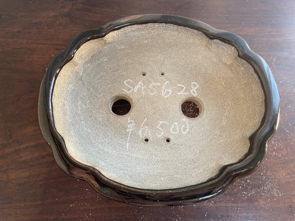 画像2: SA5628  里美 (2)