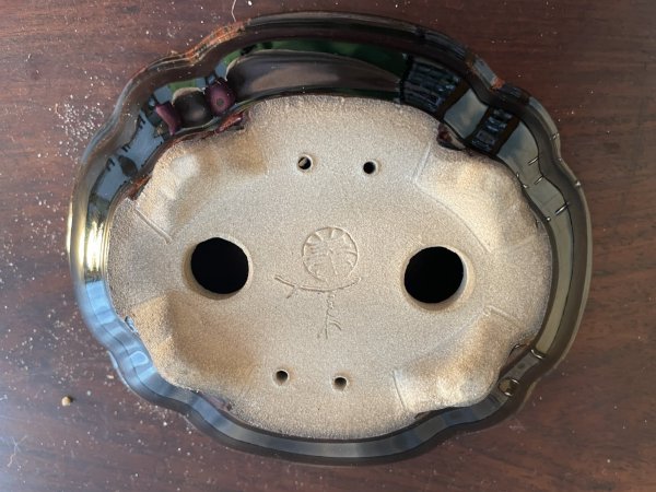 画像3: SA5628  里美 (3)